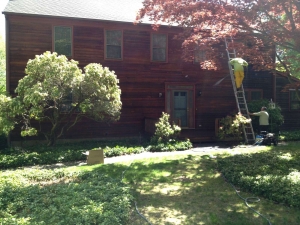 power-washing-6